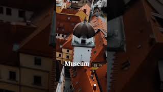 museum shorts shortvideo [upl. by Imis]