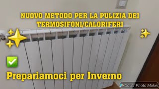 NUOVO METODO PER LA PULIZIA DEI TERMOSIFONI✅️🔝cleaning cleaninghacks puliziedicasa [upl. by Otxis]