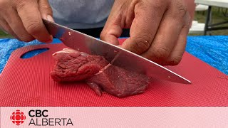 CBC investigation update Alberta cracking down on illegal meat market [upl. by Thenna]