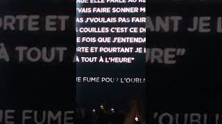 Amnésie  Damso Live Bercy 16122022 n°2 [upl. by Takashi901]