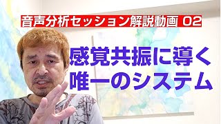 【センソリウムⅣ解説 音声分析セッション】：02感覚共振に導く唯一のシステム 【サウンド瞑想体験 東京八王子】 [upl. by Budde532]