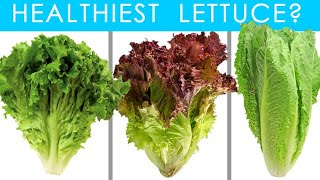 All Lettuce Are NOT the Same Which Lettuce is Best InDepth Nutrition Facts for Each  Comparison [upl. by Atiluj818]