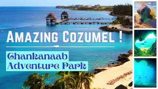 Amazing Diving Cozumel  Exploring Chankanaab Adventure Park Part 1 [upl. by Yvad]