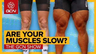 The SUPERPOWER Of Knowing Your Muscle Fibre Type  GCN Show Ep 619 [upl. by Tracy268]