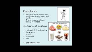 Phosphorus GCSE food [upl. by Amaj884]