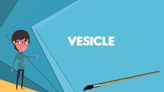 What is Vesicle biology and chemistry Explain Vesicle biology and chemistry [upl. by Aikcir]