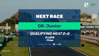 LIVE FIA Karting World Championship 2024  OK Junior  Qualify Heat DG [upl. by Donaugh958]