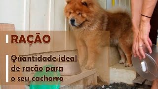 RAÇÃO par cachorro  Qual a QUANTIDADE IDEAL de ração para meu cachorro [upl. by Lorenza]