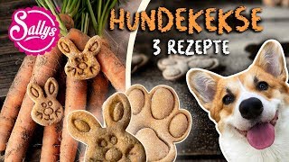 Hundekekse aus Babynahrung Karotte Kartoffel und Rind [upl. by Annahavas]