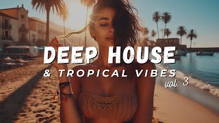 Deep House amp Tropical Vibes Vol 3 No Copyright  MP3 Download [upl. by Cousin]