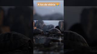 Falcãodomorro es🎼 a luz da vitória 🙏 jesusmultivacional superaçãodinâmicajesusdeusvendas [upl. by Ellery298]