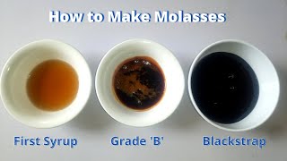 How to Make Molasses at Home  3 homemade grades of molasses [upl. by Lilhak]