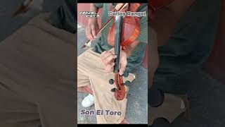 Aprende a Tocar 🎻  Son EL TORO [upl. by Summer]