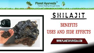 Shilajit  Benefits Uses and Side effects  Planet Ayurveda [upl. by Eiramoj]