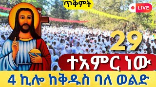 🔴live🔴ቀጥታሥርጭቱከአራትኪሎቅዱስባለ ወልወልድ mataniy23Ethiopiaorthodoxtewahedo [upl. by Assel]