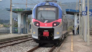 Treni Rosarno  volatile spiaccicato sul frontale del Frecciargento [upl. by Arliene527]