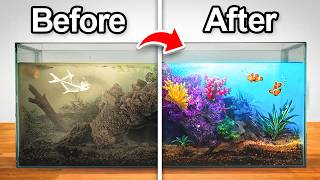 This Aquarium Was Abandoned So I Transformed It [upl. by Prouty]