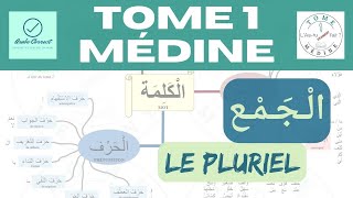 1217 Le pluriel Tome 1 de Médine  Ce que tu dois retenir apprendre arabe [upl. by Shapiro494]