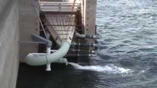 Wanapum Dam Fish Ladder July 9 2014 [upl. by Lemraj]