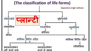 plantaeप्लान्टीThallophytaBrayophytaPteridophytaGymnospermsAngios9th science chapter 7 part4 [upl. by Honor]