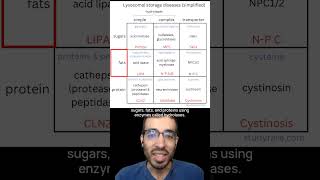 Learn about lysosomal storage diseases with this 3x3 grid [upl. by Ralph]