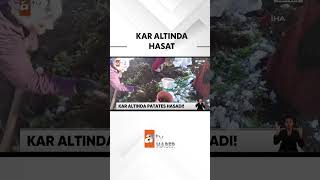 Kış erken geldi çiftçinin planı değişti atvhaber shorts artvin [upl. by Pierro]