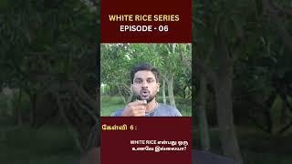 WHITE RICE உணவே இல்லையா whiterice not food education ytshorts viralshorts yt [upl. by Mungam201]