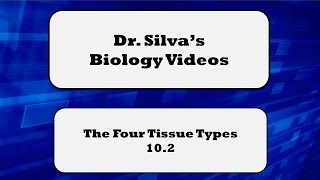 The 4 Tissue Types – 102 – Biol 189 [upl. by Eneg238]