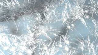 Frost flowers  time lapse photography [upl. by Asillem]