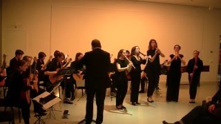 Boismortier Concerto op15 nr2 5 flutes amp guitar orchestra [upl. by Atnauqahs]