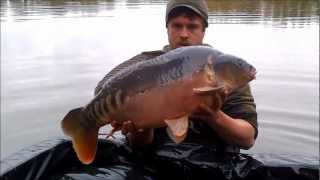 Frontfish stocking Sundridge Lake Kent [upl. by Hcelemile]