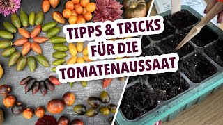 Wie und wann sät man Tomaten Step by Step Tomaten anbauen [upl. by Azal]