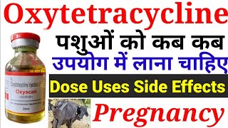 Oxytetracycline antibiotic injection uses in goatबकरियों में ऑक्सी टेट्रासाइक्लिन इंजेक्शन का उपयोग [upl. by Kumar400]