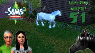 Sims 3 Einfach Tierisch Lets Play 51 Eine Schwester in Produktion GERMANDEUTSCH [upl. by Yllatan]