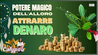 Rituale per Attrarre Denaro con lAlloro 🔮 segreti svelati cartomantidicalypso tarocchi R49 [upl. by Gunter]