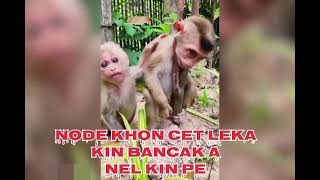 GARI MUSKIL RE MENAI ASANTALI EMOTIONAL VIDEOnew santali video 2024 [upl. by Wesle]