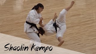 Japanese SHAOLIN KEMPO  Fighting Techniques [upl. by Lose]