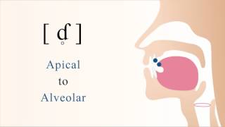 ɗ̥  ƭ  unvoiced apical alveolar implosive stop [upl. by Lak]