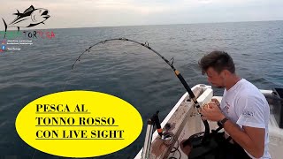 PESCA AL TONNO ROSSO CON LIVE SIGHT [upl. by Lareine697]