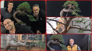 Ho voluto insegnare il bonsai ad un mio allievo in un modo particolare [upl. by Marius]