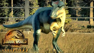 JWE2  Albertosaurus vs Allosaurus  Jurassic World Evolution 2  Fight 6 [upl. by Ahsimed395]