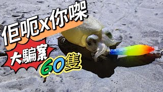 玩屎騙案右話正常都有60隻 香港釣魚 路亞擬餌lurefishingtopwaterhkfishing放生休閒海釣岸釣 [upl. by Egedan]