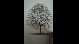 Easy method tree drawing  pencil drawing  280  Creation of Rangoli Arts Channel [upl. by Nador]