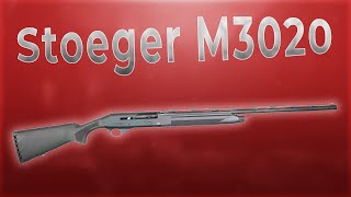 Ружье Stoeger M3020 Synthetic 20x76 L710 [upl. by Sinegra]