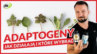 Adaptogeny Jak działają i który wybrać dla siebie [upl. by Namie717]