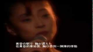 Akina Nakamori 中森明菜 駅台日語字幕 [upl. by Eirffej]