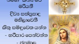 Pray to Mother Mary with this Hymn [upl. by Heaps]