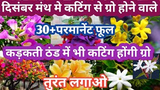 December मंथ मे कटिंग से लगने वाले 30परमानेंट फूल Parmanent Flowering Plant Grow By Cutting [upl. by Sinnal]