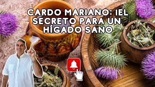 El té que hace milagros en el hígado ¡descubra el cardo mariano [upl. by Norton]