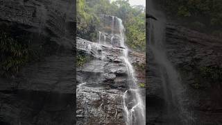 Discovering Jhari Falls A Hidden Gem in Chikmagalur 😍😍❤️ travel southindia shorts ytshorts [upl. by Nimajneb]